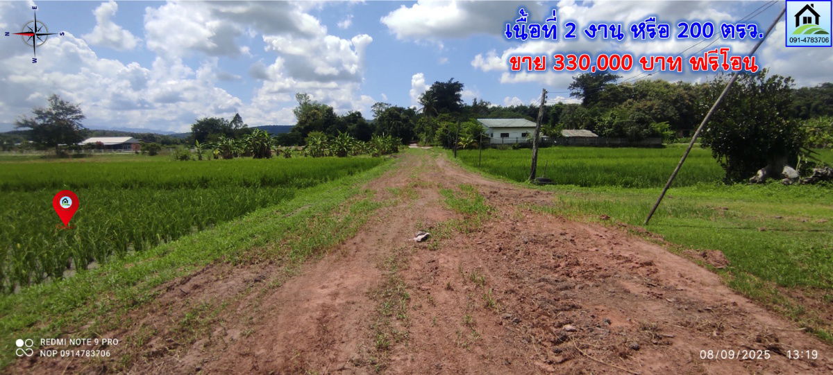 รูป pcr2544 ขายที่นาเป็นโฉนด ขาย 330,000บาท มีเนื้อที่ 2งาน - รูปที่ 4/9