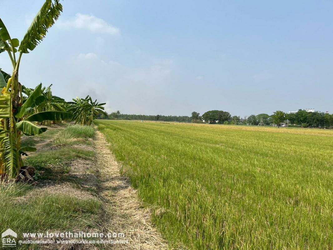 รูป ขายที่ดิน ซอยไมตรีจิต10 สามวาตะวันออก มีนบุรี พื้นที่ 350 ตรว. ใกล้โรงเรียนนวมินทราชินูทิศ สตรีวิทยา2 - รูปที่ 4/9