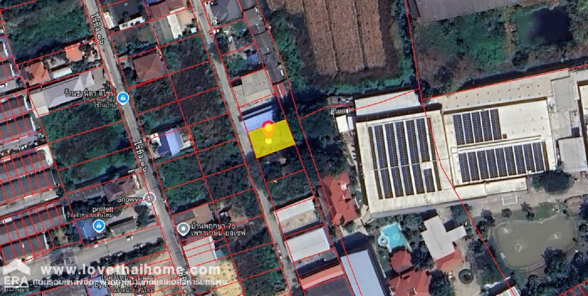 รูป ขายที่ดิน ซอยไร่ขิง26 สามพราน นครปฐม พื้นที่ 90 ตรว. ใกล้หมู่บ้านพฤกษา75 เพชรเกษม-ยอเซฟ - รูปที่ 2/2