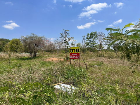 Land for sale in Khao Yai, Pak Chong, Mu Si | Beautiful mountain views, filled in, ready to build a house