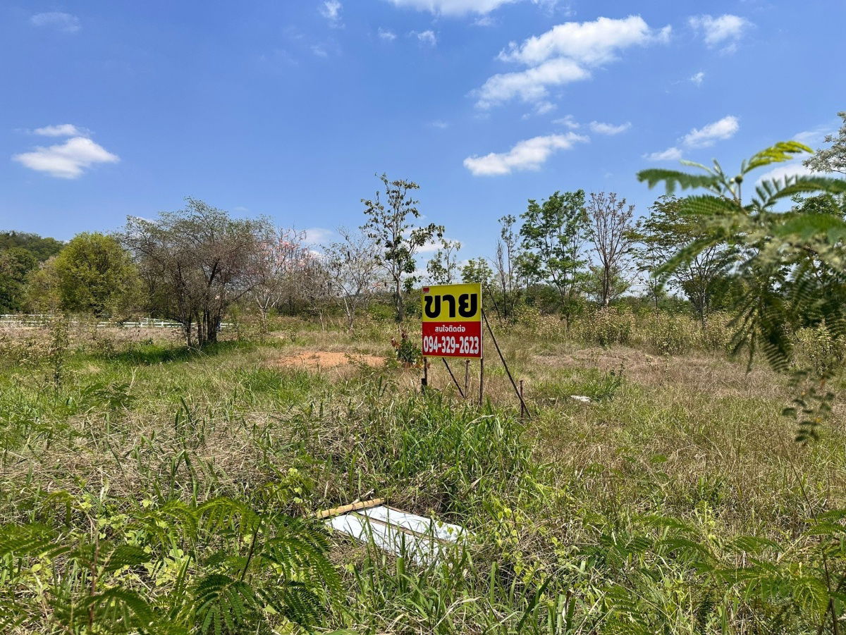 picture Land for sale in Khao Yai, Pak Chong, Mu Si | Beautiful mountain views, filled in, ready to build a house - 1/4