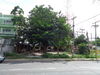 listing thumbnail image 27