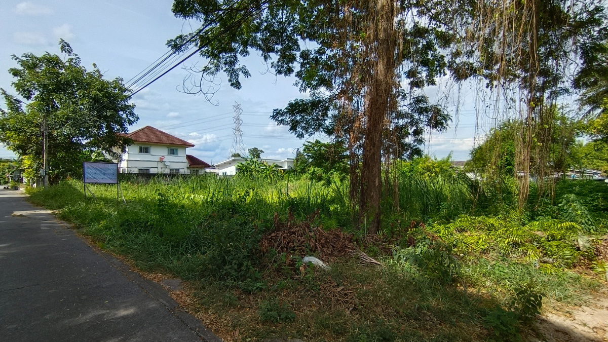 picture Beautiful land plot for sale for investors and those looking for vacant land. - 5/10