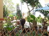 listing thumbnail image 15