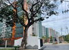 listing thumbnail image 1