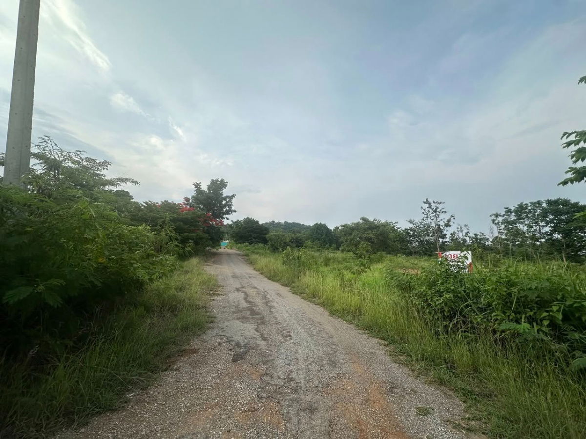 picture Land for sale in Khao Yai, Pak Chong, Mu Si | Beautiful mountain views, filled in, ready to build a house - 3/4