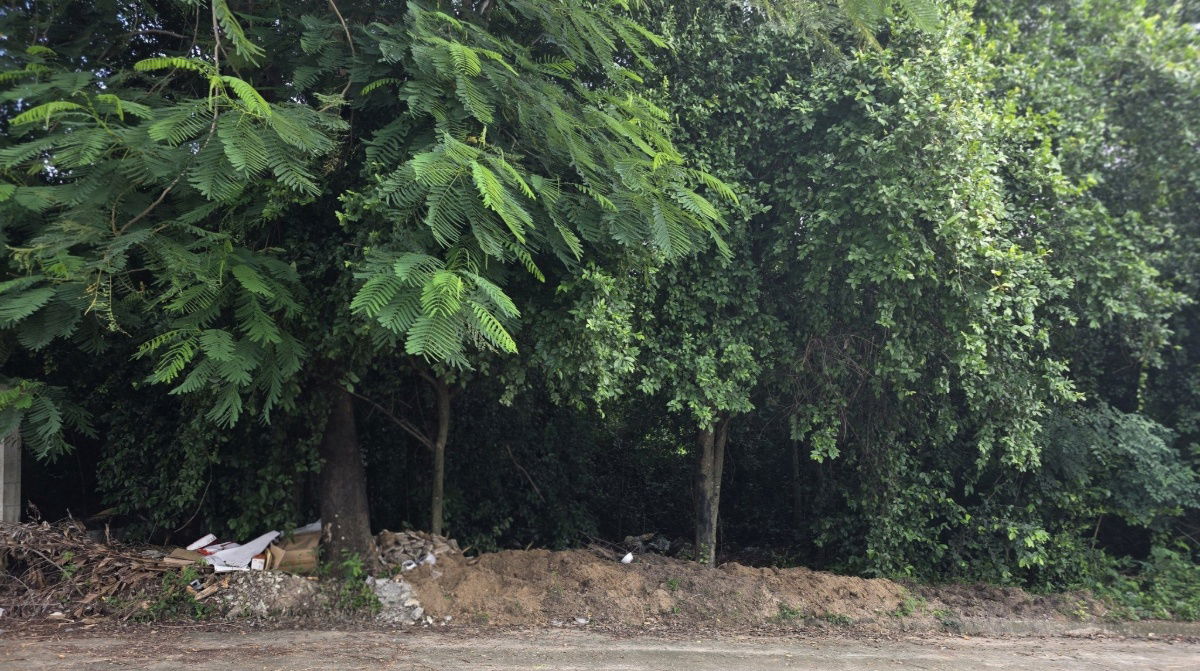 picture 🏡 Beautiful land plot for sale in the Suan Lagoon Village project in Taling Chan. - 1/3