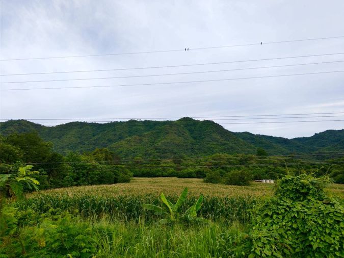 🌄💥 Hot Deal! Land for sale with mountain views ⛰️ Natural atmosphere 🍃 Na Pa Subdistrict, Phetchabun 💎
