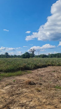 Land for sale in Lampang, cheap price, prime location, near Kiew Lom Dam – more than half off
