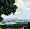 listing thumbnail image 8