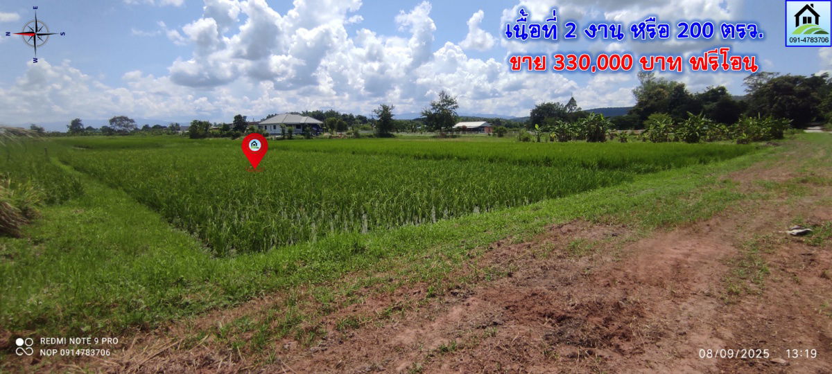 รูป pcr2544 ขายที่นาเป็นโฉนด ขาย 330,000บาท มีเนื้อที่ 2งาน - รูปที่ 2/9