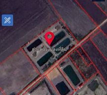 ขายที่ดินสวยขนาด 6 ไร่ 77 ตารางวา มาพร้อมบ้านน้อยปลายนา บรรยากาศดี เหมาะกับการทำเกษตรอินทรีย์ ปลูกผัก เลี้ยงปลา หรือใช้ชีวิตแบบเรียบง่าย