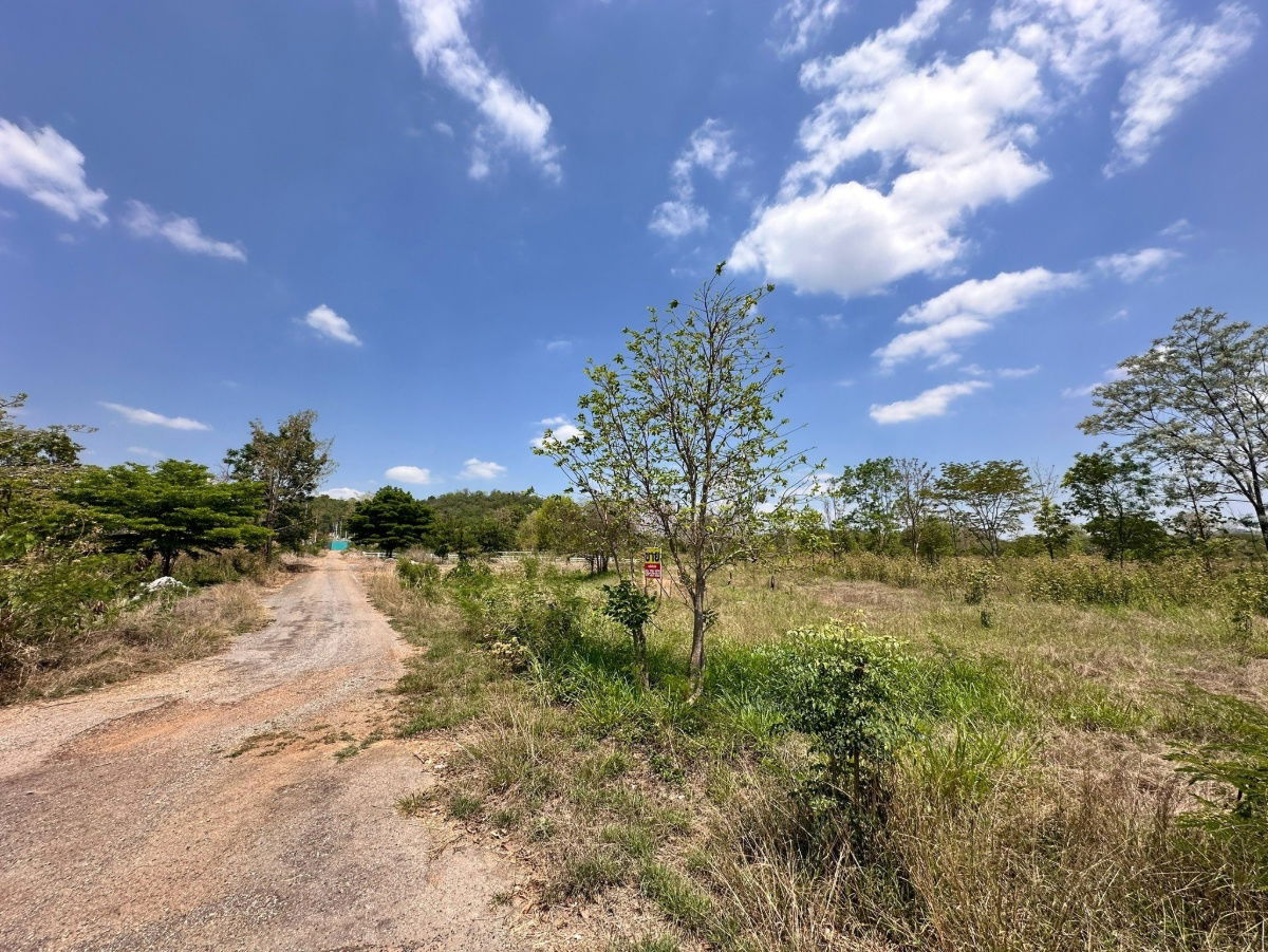 picture Land for sale in Khao Yai, Pak Chong, Mu Si | Beautiful mountain views, filled in, ready to build a house - 4/4