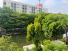 listing thumbnail image 18