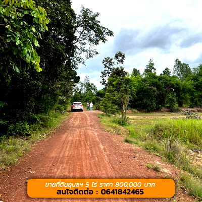ที่ดิน พิบูลมังสาหาร อุบลราชธานี : ขายด่วนนน ที่ดินอุบลฯ ถูกกกกมาก 5 ไร่ เพียง 800,000 บาท ที่ดินสวย ทำเลดี 