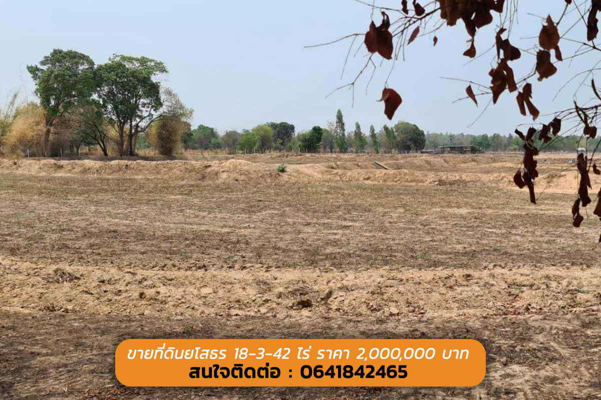 รูป ขายที่ดินยโสธร 18 ไร่ 2,000,000 บาท (( ที่ดินสวย ทำเลดี )) - รูปที่ 2/5