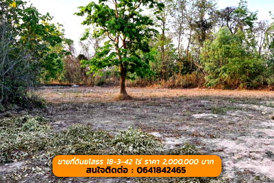 ที่ดิน ทรายมูล ยโสธร : ขายที่ดินยโสธร 18 ไร่ 2,000,000 บาท (( ที่ดินสวย ทำเลดี ))