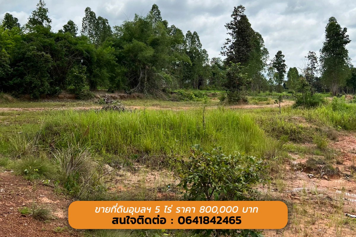 รูป ขายด่วนนน ที่ดินอุบลฯ ถูกกกกมาก 5 ไร่ เพียง 800,000 บาท ที่ดินสวย ทำเลดี  - รูปที่ 5/5
