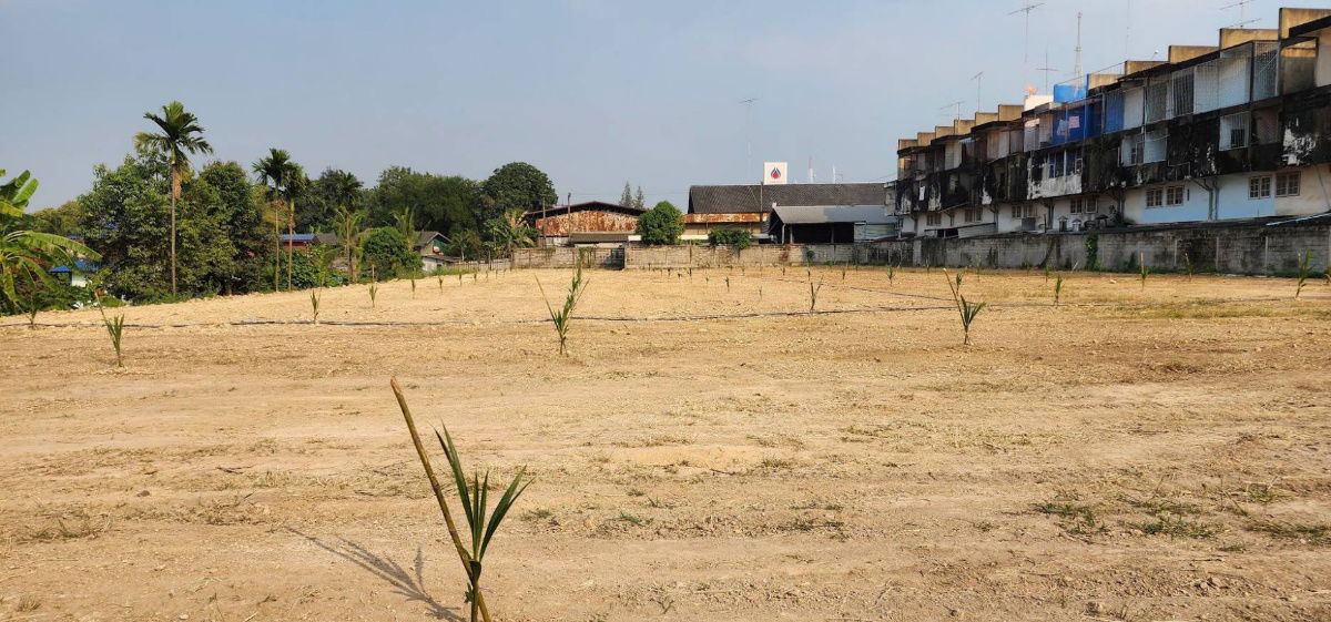 picture Land for sale in the center of Ratchaburi, next to Phetkasem Road, 7 rai 206.5 sq m. - 2/6