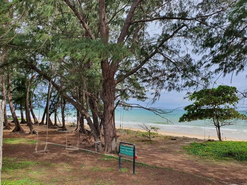 รูป ขายที่ดินแปลงงาม ทำเลดีมาก ติดถนนเลียบชายหาด ตะพง เมืองระยอง  - รูปที่ 4/6