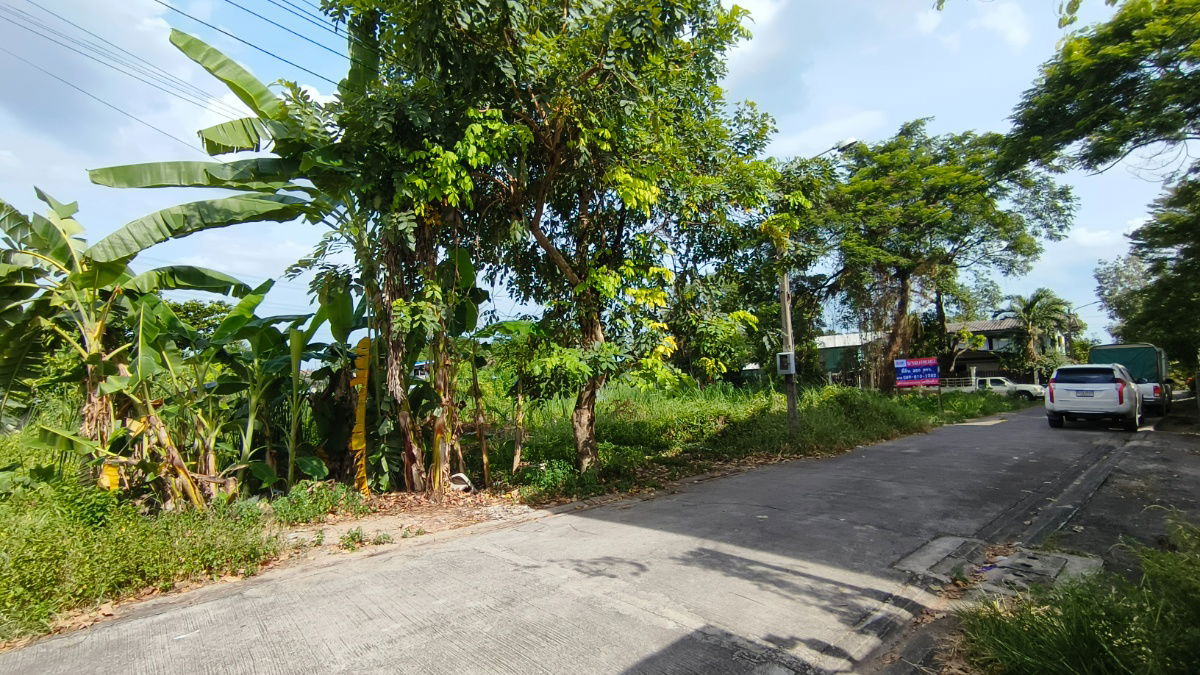picture Beautiful land plot for sale for investors and those looking for vacant land. - 2/10