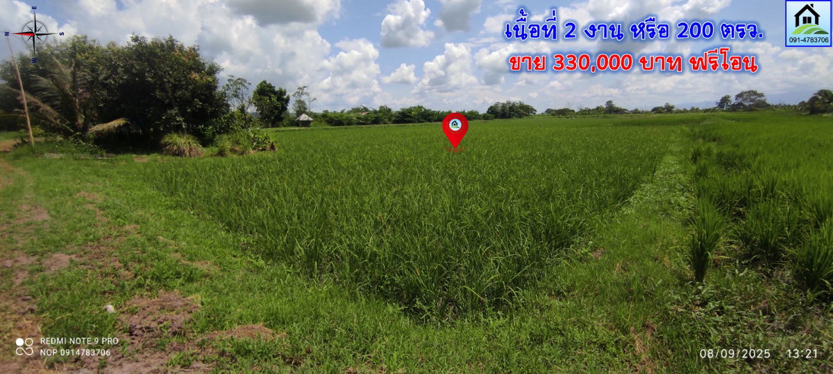 รูป pcr2544 ขายที่นาเป็นโฉนด ขาย 330,000บาท มีเนื้อที่ 2งาน - รูปที่ 3/9