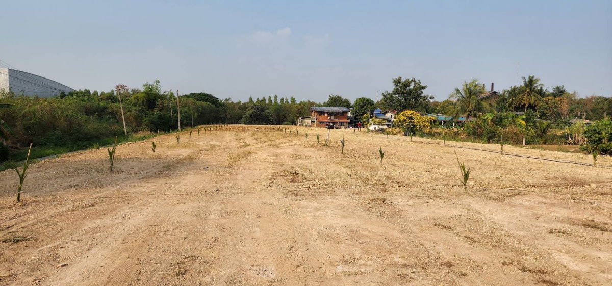 picture Land for sale in the center of Ratchaburi, next to Phetkasem Road, 7 rai 206.5 sq m. - 1/6