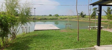 รูป ขายที่ดินสวยขนาด 6 ไร่ 77 ตารางวา มาพร้อมบ้านน้อยปลายนา บรรยากาศดี เหมาะกับการทำเกษตรอินทรีย์ ปลูกผัก เลี้ยงปลา หรือใช้ชีวิตแบบเรียบง่าย - รูปที่ 3/12