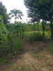 listing thumbnail image 20
