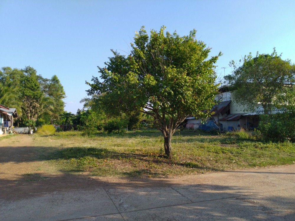 รูป 🏡 ขายที่ดินโฉนดครุฑแดง 191.3 ตร.วา ติดถนนใหญ่ ใกล้โลตัส วังน้ำเย็น - รูปที่ 6/7
