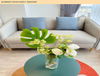 listing thumbnail image 1