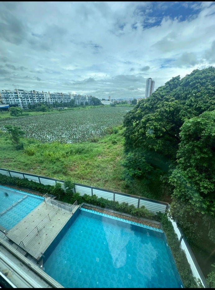 รูป กรีนซิตี้คอนโด ในเชียงใหม่บิสสิเนสพาร์ค ใกล้ รร.วชิรวิทย์ ม.พายัพ บิ๊กซีเอ็กซ์ตร้า และ เซ็นทรัลเฟสติวัล - รูปที่ 1/16
