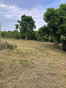 picture # 🌟 Beautiful land, prime location, more than 2 rai (905 sq m). Bang Bua Thong, near Wat Lam Pho, Nonthaburi 🌟 - 31/31