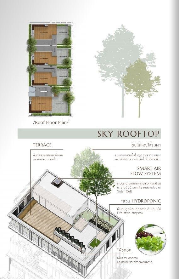 รูป ให้เช่า SAGE Thonglor – Private Luxury ทาวน์โฮมหรู 4 ชั้นครึ่ง ใจกลางทองหล่อ - รูปที่ 31/31