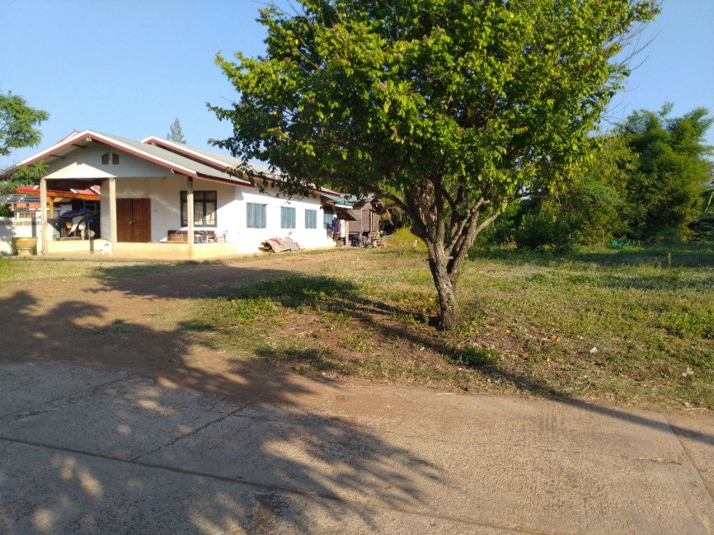 รูป 🏡 ขายที่ดินโฉนดครุฑแดง 191.3 ตร.วา ติดถนนใหญ่ ใกล้โลตัส วังน้ำเย็น - รูปที่ 5/7