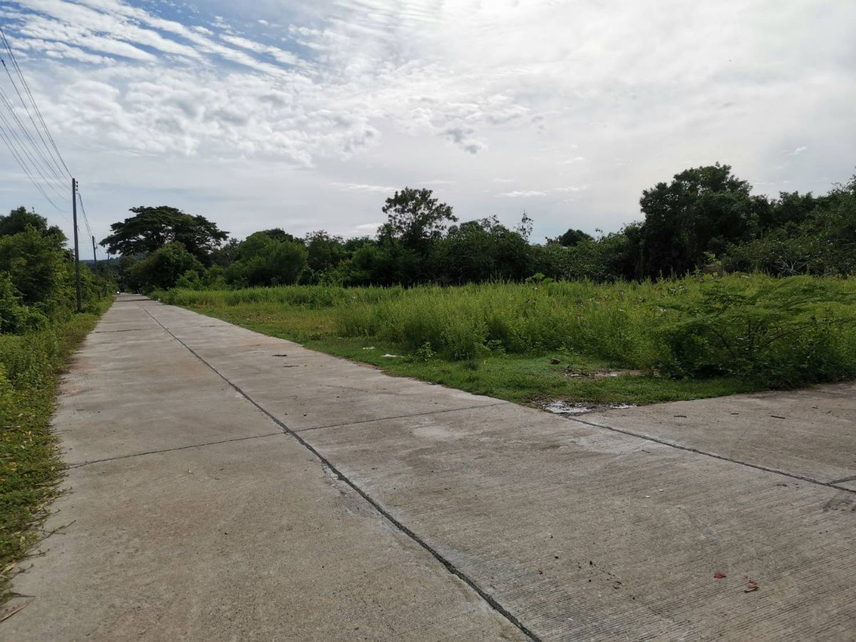 picture Beautiful plot of land, good location, cheap price, Sateng Nok Subdistrict, Mueang District, Yala Province - 2/6