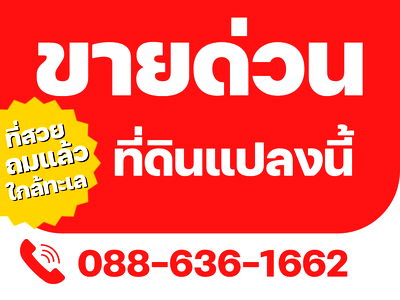 ที่ดิน ระยอง : ที่ดิน ไม่เปลี่ยว - ไม่เหงา มีเพื่อนบ้าน ใกล้ทะเล 500ม. แกลง ระยอง หาดแหลมแม่พิมพ์ ที่ดินถมแล้ว แปลงมุม ความสะดวกครบครัน