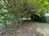 listing thumbnail image 35