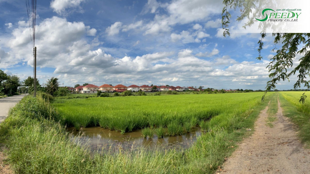 รูป ที่ดิน ลำลูกกา ปทุมธานี 30 กว่าไร่ 🌳 ที่สวย ทำเลดี เหมาะลงทุน ✨ - รูปที่ 1/4