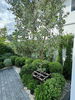 listing thumbnail image 19