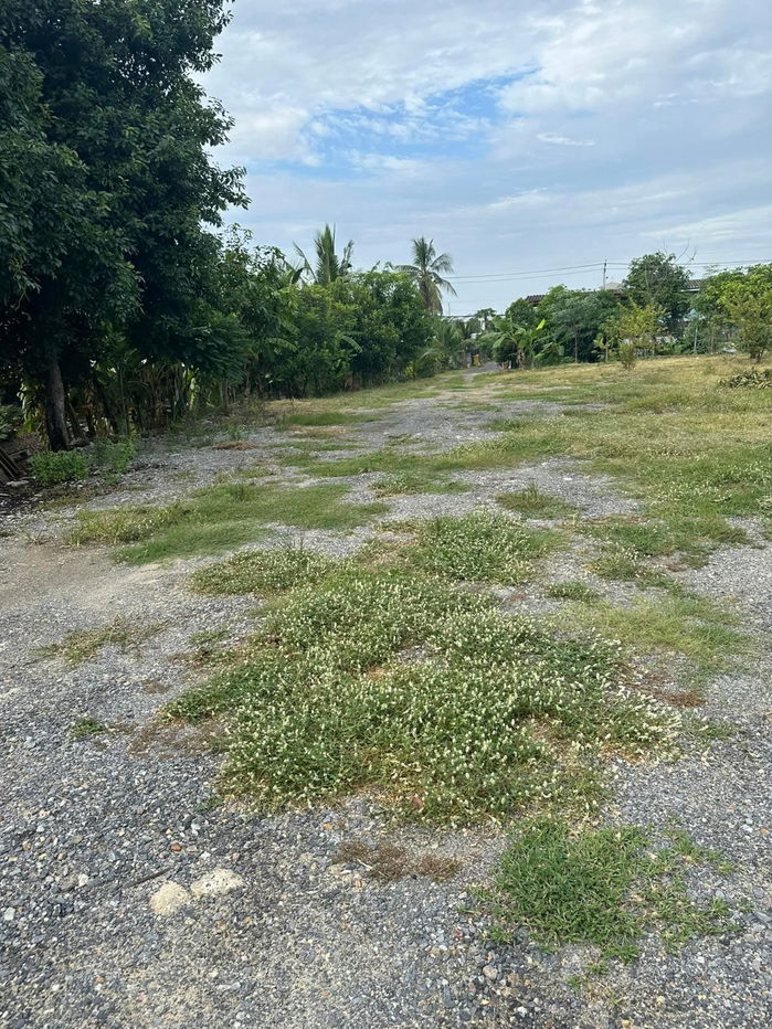 picture # 🌟 Beautiful land, prime location, more than 2 rai (905 sq m). Bang Bua Thong, near Wat Lam Pho, Nonthaburi 🌟 - 28/31