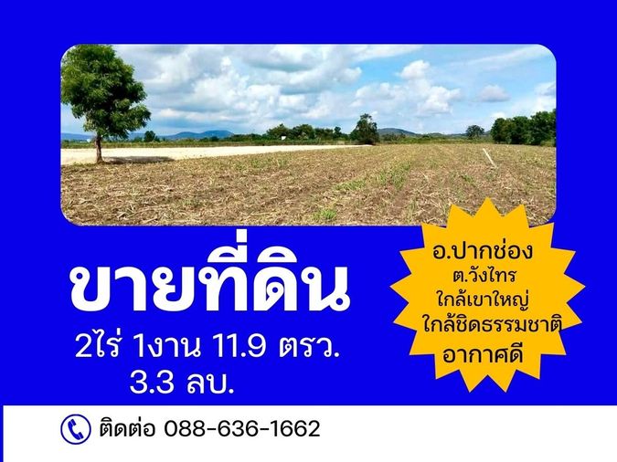 ที่ดิน ที่ดินใกล้ชิดธรรมชาติ ซับหวาย หนองสาหร่าย วังไทร อ.ปากช่อง ใกล้ เขาใหญ่ 