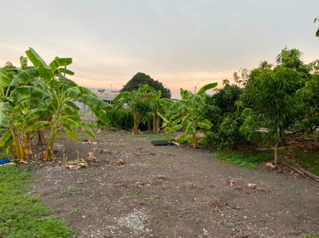 picture Onnut Airport link Lat Krabang 2 km. For Rent Fill Land 9,999 B-M Coffee Shop 100 Sq.wa 400 Sqm. Soi - 3/8