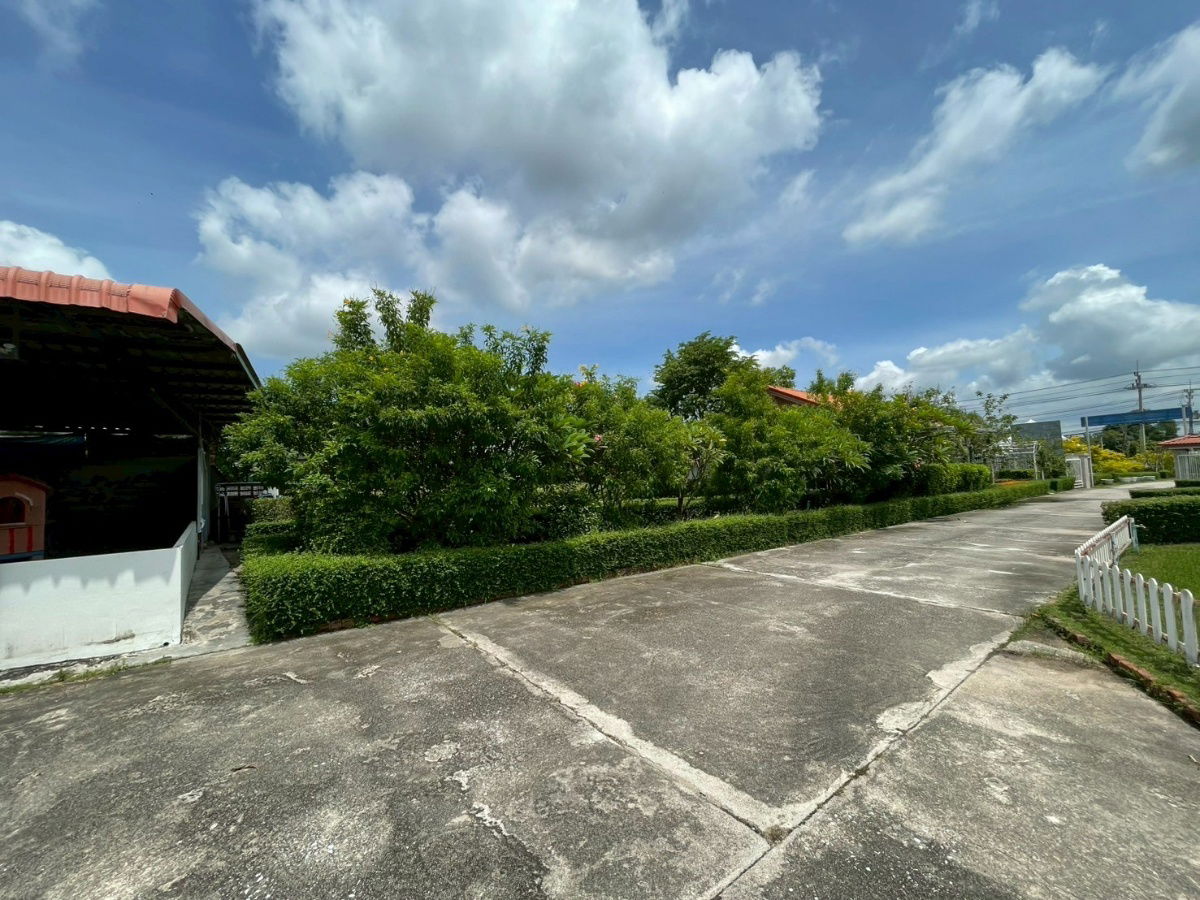 รูป ขายที่ดินพร้อมบ้าน 3 ไร่ ติดถนนใหญ่ ทำเลสวย ชลบุรี บ้านบึง ยินดีบริการ พร้อมให้คำปรึกษาสินเชื่อฟรี - รูปที่ 14/40