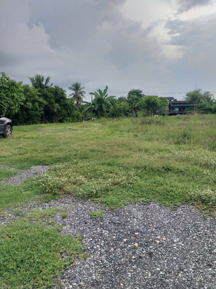 picture # 🌟 Beautiful land, prime location, more than 2 rai (905 sq m). Bang Bua Thong, near Wat Lam Pho, Nonthaburi 🌟 - 14/31