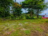 listing thumbnail image 17