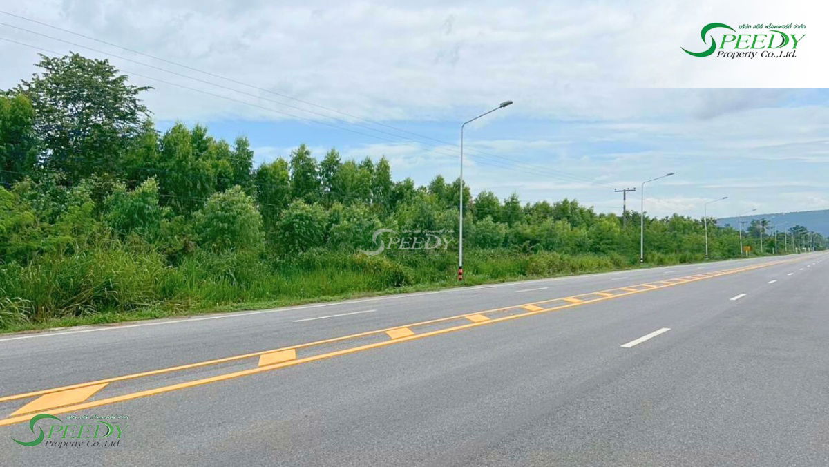 รูป ที่ดินสวย เนินเขา โคราช นครราชสีมา 🌳 ขนาดใหญ่ 117 ไร่ ❗ - รูปที่ 2/7