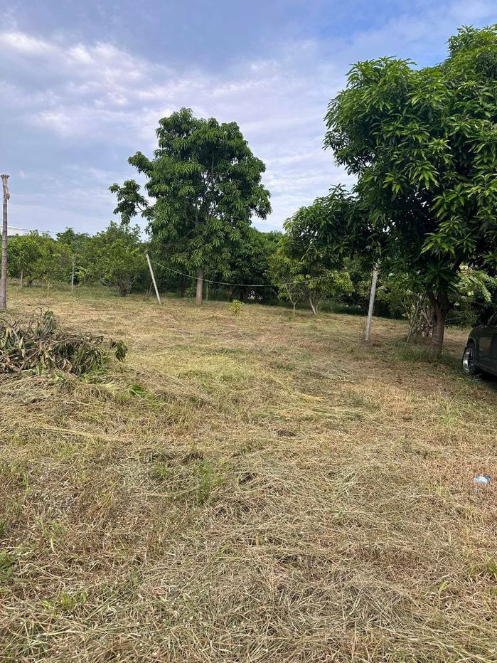 picture # 🌟 Beautiful land, prime location, more than 2 rai (905 sq m). Bang Bua Thong, near Wat Lam Pho, Nonthaburi 🌟 - 23/31