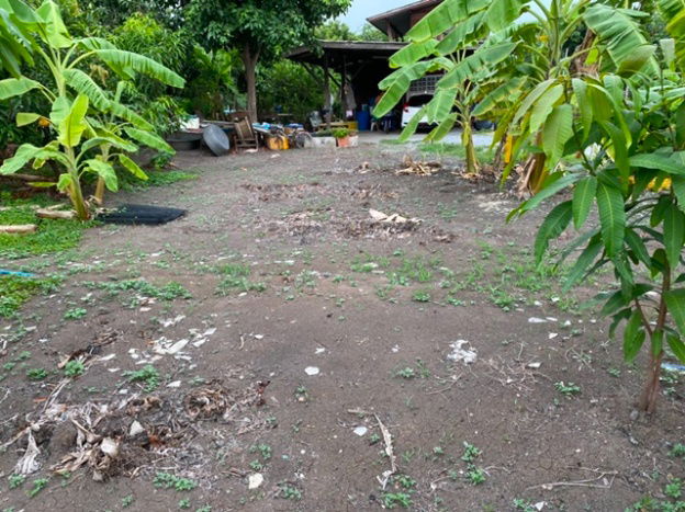 picture Onnut Airport link Lat Krabang 2 km. For Rent Fill Land 9,999 B-M Coffee Shop 100 Sq.wa 400 Sqm. Soi - 6/8