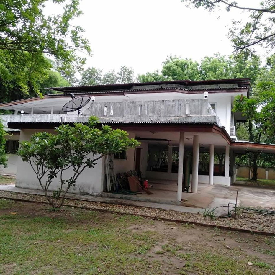picture Land for sale in Lamphun, large plot with economic trees, 38+2 rai (can be sold separately) - 3/4